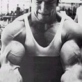 /album/fotogaleria/biceps-arnol-jpg/